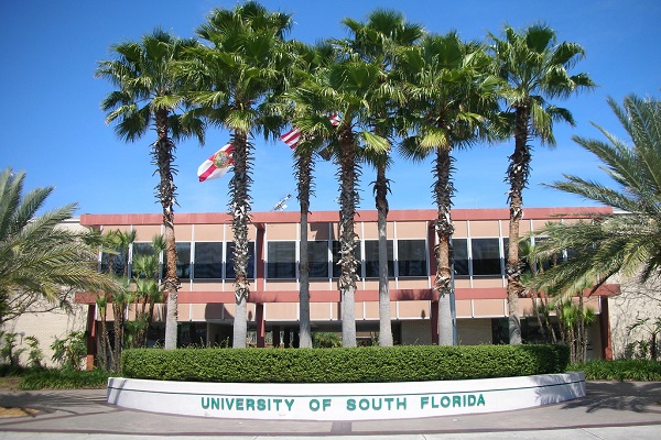 University of South Florida, Tampa